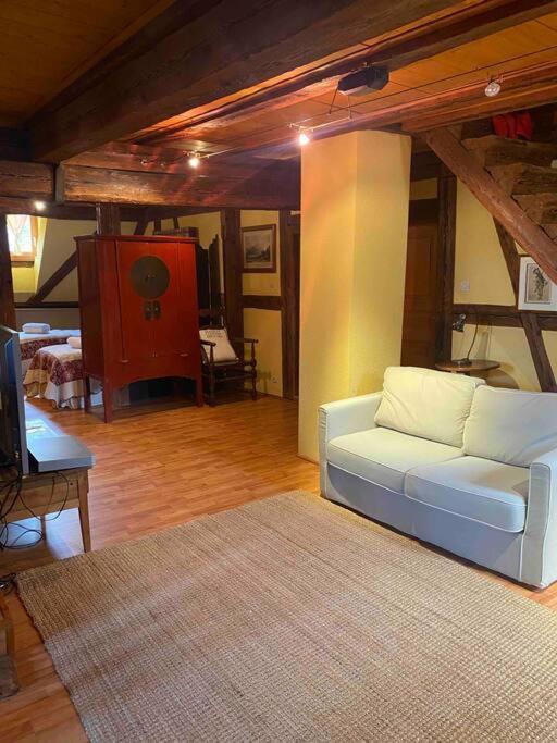 Le Majestueux Dans Le Centre Historique Apartment รีควีร์ ภายนอก รูปภาพ